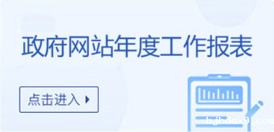 政府网站年度工作报表